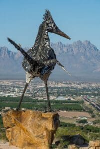 Recycled roadrunner looking over the valley.