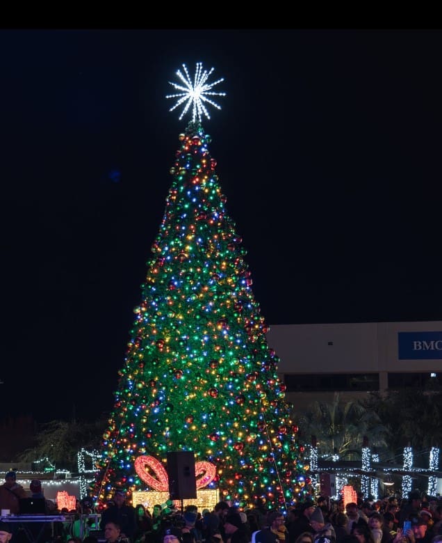 Christmas tree lighted up at night