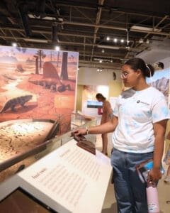 Person looking at the display at the museum of nature and science