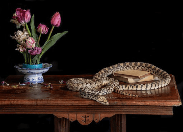 Snake on table near a vase of flowers 