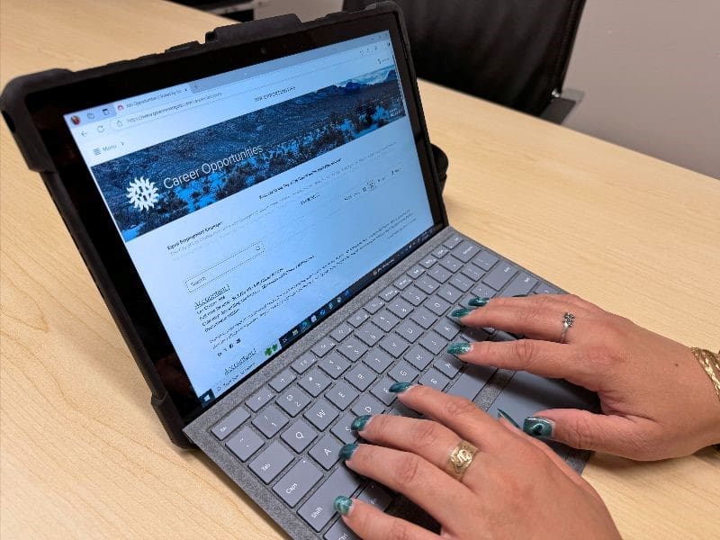 A picture of a person's hands typing on a laptop