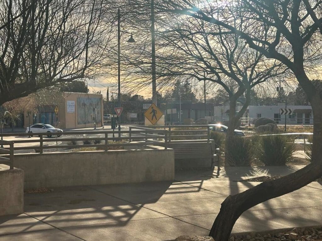 Sidewalk with trees in the background.