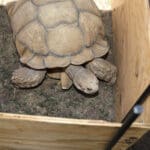 kids at water festival 2025