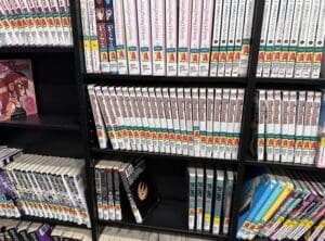 Paperback books on a shelf.