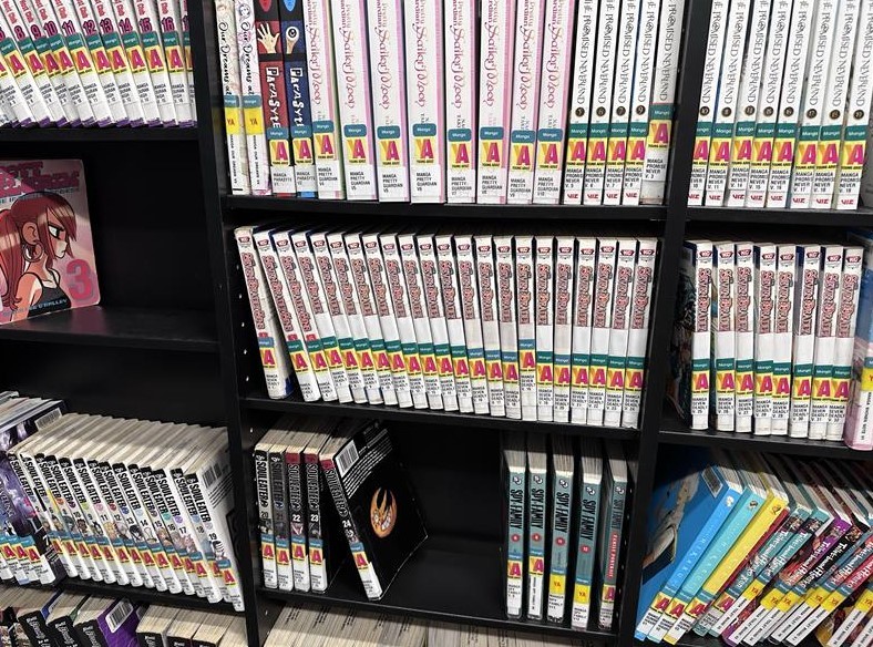 Paperback books on a shelf.