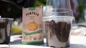 cup of dirt beside a packet of pumpkin seeds.