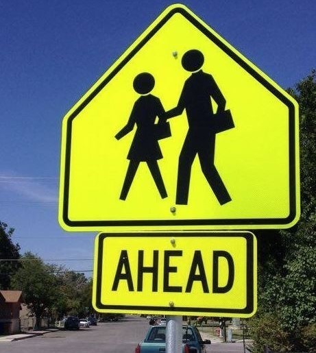 School Crossing Sign by a street.