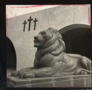 Black and white photo of City Hall Lions at previous (old) City hall.