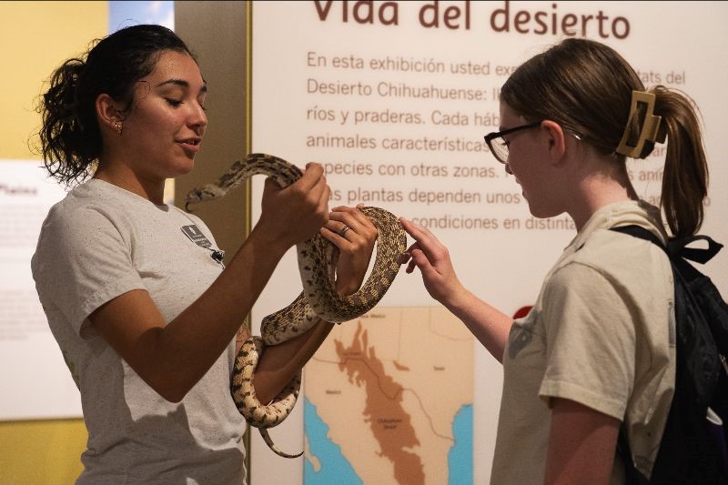 A girl showing a snake she is holding to another girl.