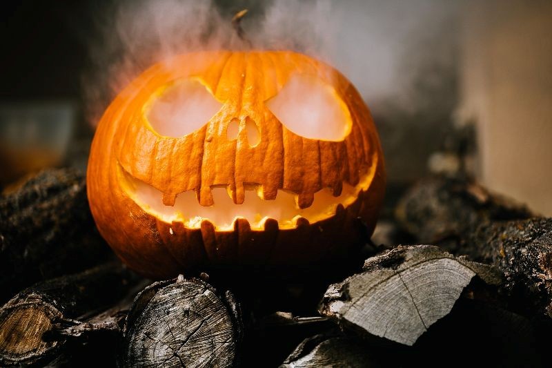 photo of a pumpkin