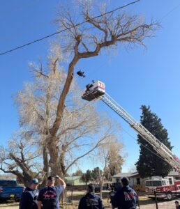 Fire fighter using a truck ladder to rescue tree worker stuck in tree.