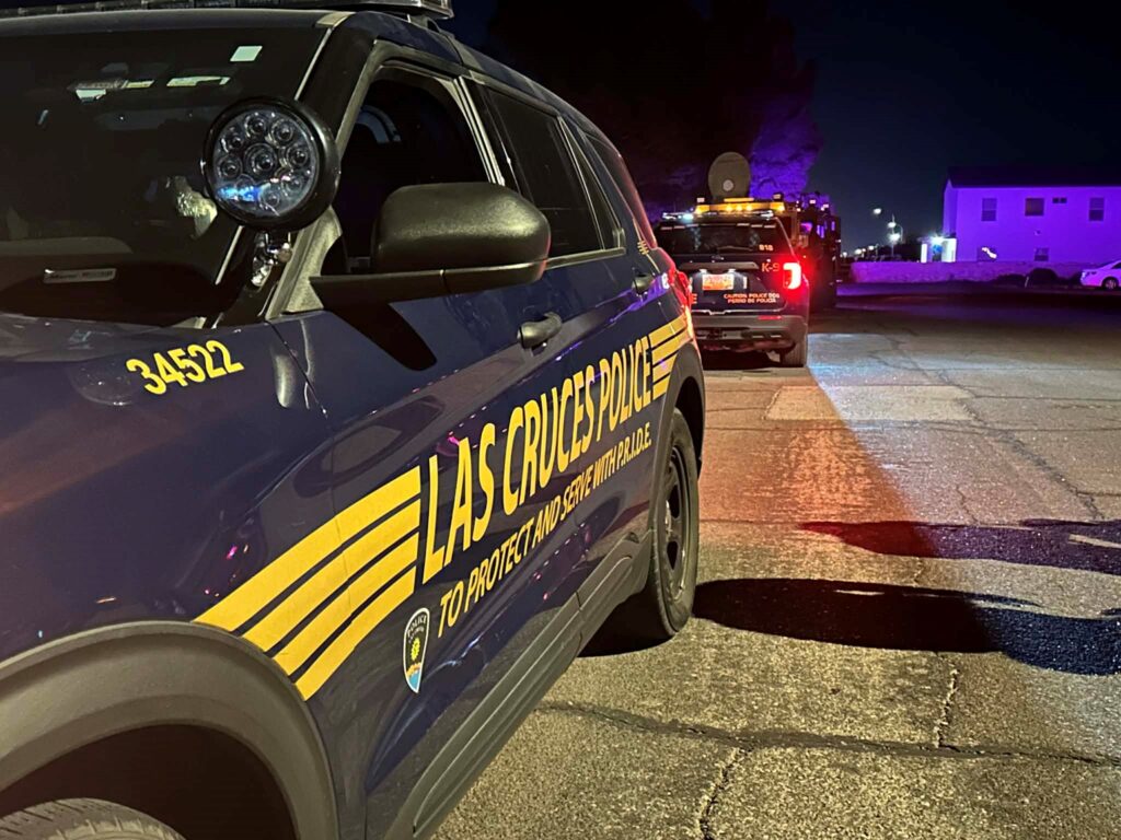 LCPD vehicle parked in front of another LCPD vehicle on the side of a road at nightl
