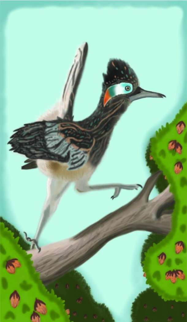 Artwork of a roadrunner