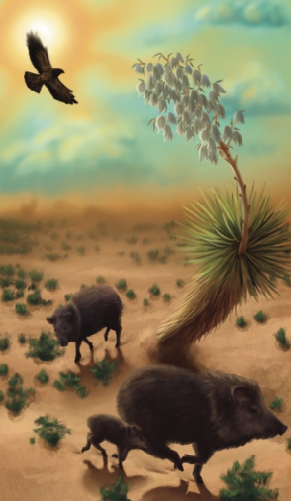 Digital art of javelinas in the desert.