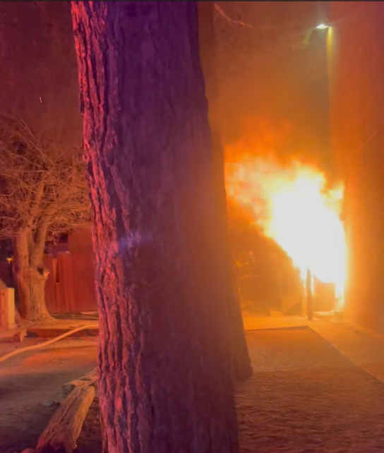 Fire burning behind a tree trunk.