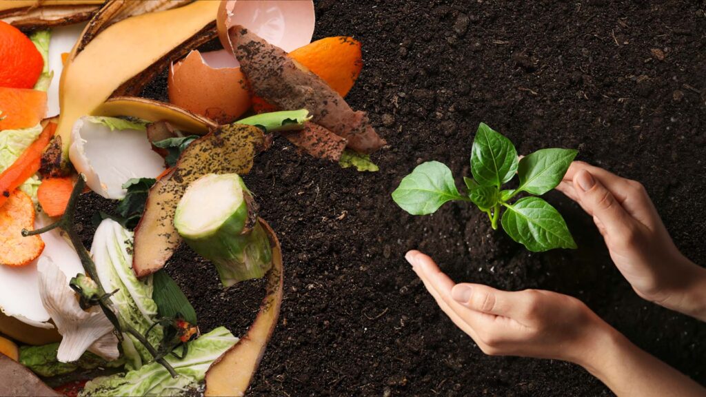Vegetables and food scraps on left and a person holding dirt on the right with a leafy green plant emerging from the held dirt.