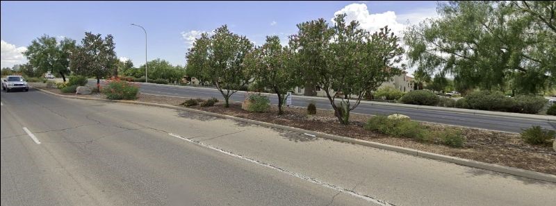 The median in the middle or Roadrunner Parkway.