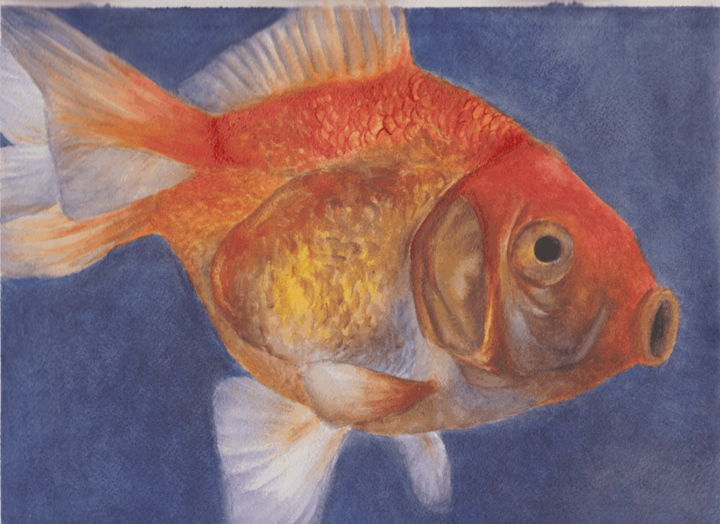Artwork of an orange fish