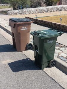 Green Compost Container on a street curb next to the larger brown waste container.